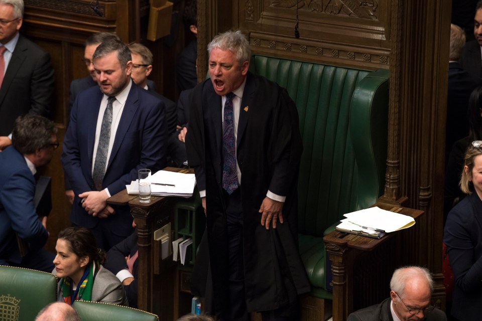  Speaker John Bercow has twisted rules to try get the second referendum he craves