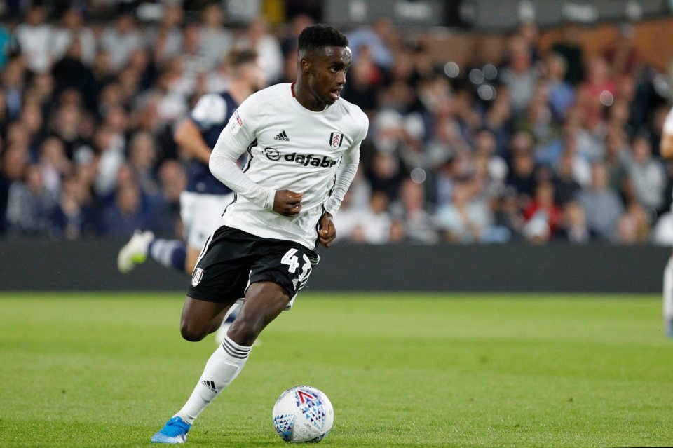  Steven Sessegnon has so far failed to make a major breakthrough at Fulham