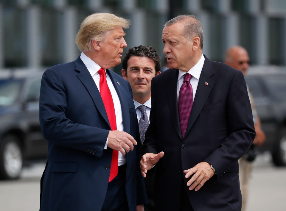 Donald Trump and Erdogan chat as heads of state gather at the NATO headquarters in Brussels in July 2018