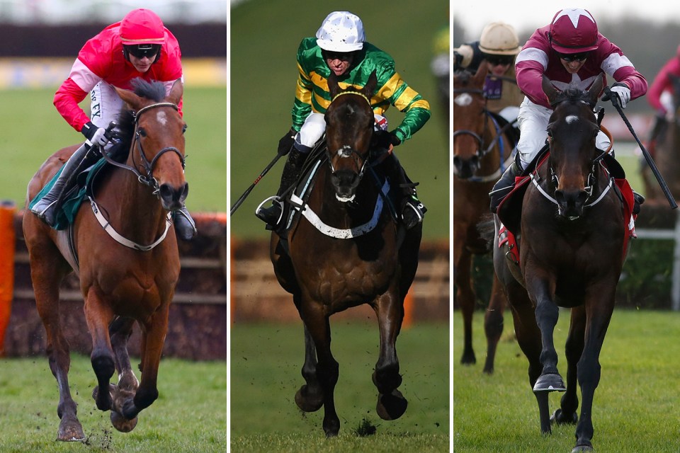 Laurina, Buveur D'Air and Apple's Jade line up in a thrilling renewal of the Champion Hurdle