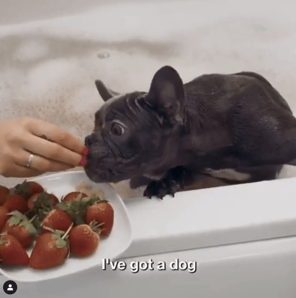  The star even fed her French Bulldog Ivy strawberries during their soak