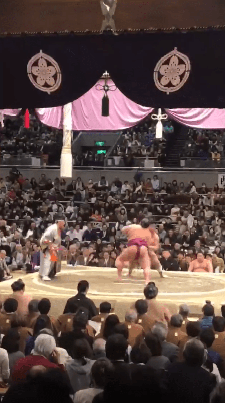  Lukas Podolski also took in some live Sumo