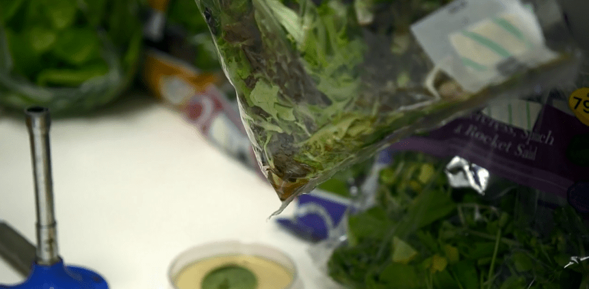 Bagged salad juice comes with a high risk of salmonella