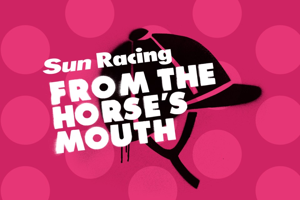  Don't miss out on the best and most hilarious take on this weeks racing straight from the horse's mouth by our resident Trackman, Andy Ayres.