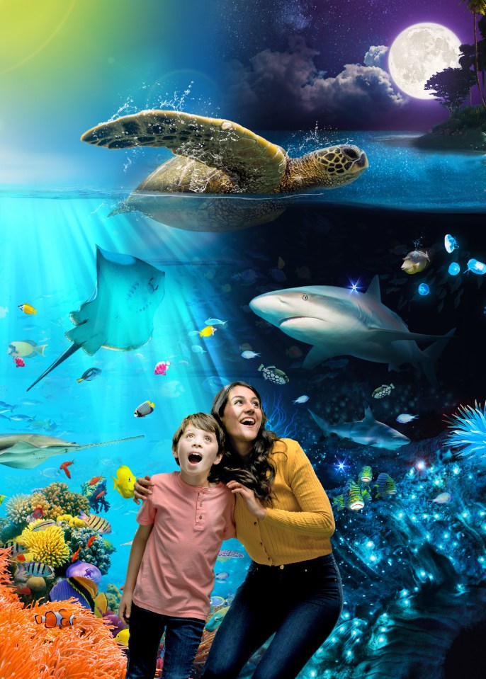 A new SEA LIFE attraction is to open next month