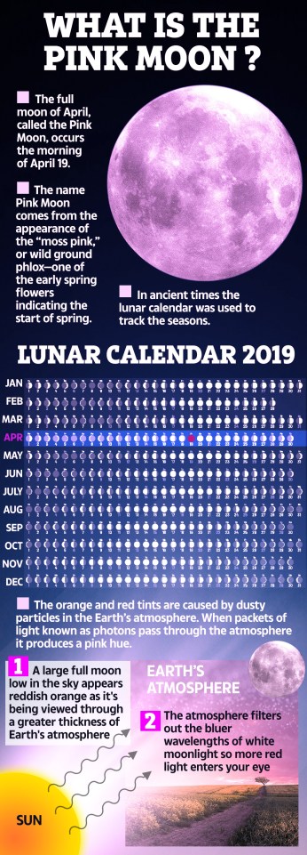 Good Friday will see a stunning Pink Moon appear in the sky