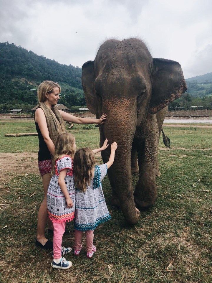  In Thailand the family helped look after elephants at a rescue sanctuary