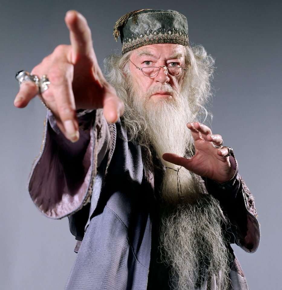  Sir Michael Gambon starred as Dumbledore in Harry Potter. He was dropped from a new Sky One show after struggling to remember his lines