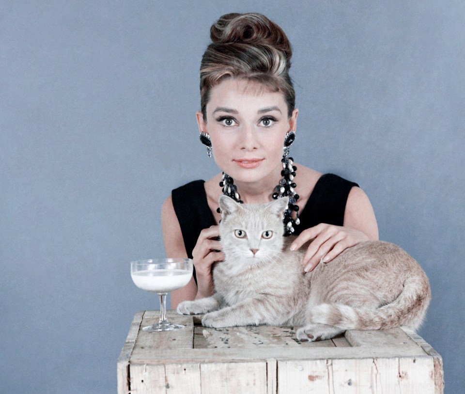 Beloved by millions, Audrey Hepburn is known for her performances in ‘Breakfast at Tiffany’s’ and many other movies