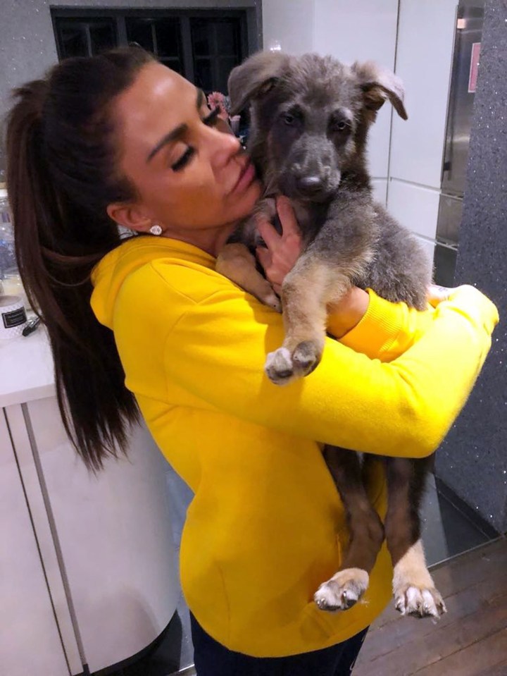  Katie Price is giving away her £1,000 puppy Bear after it kept escaping from her mucky mansion and running on to a busy road nearby