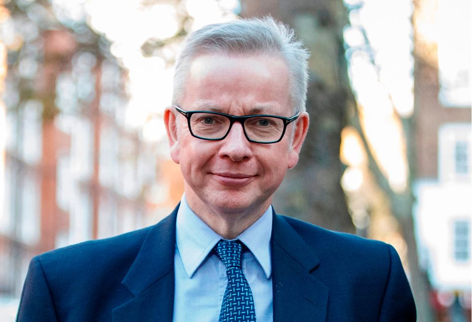  Michael Gove was recommended to run for Tory leadership by Treasury Minister Mel Stride