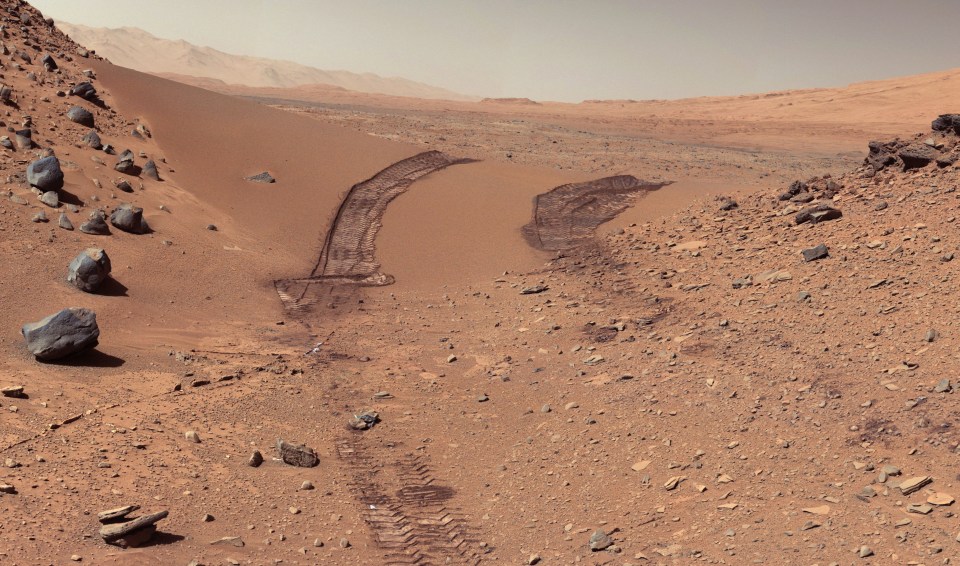 It proves there is at least some life on Mars