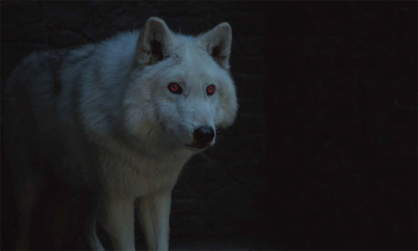  Direwolves are a breed of giant wolves that is the sigil for the Stark family