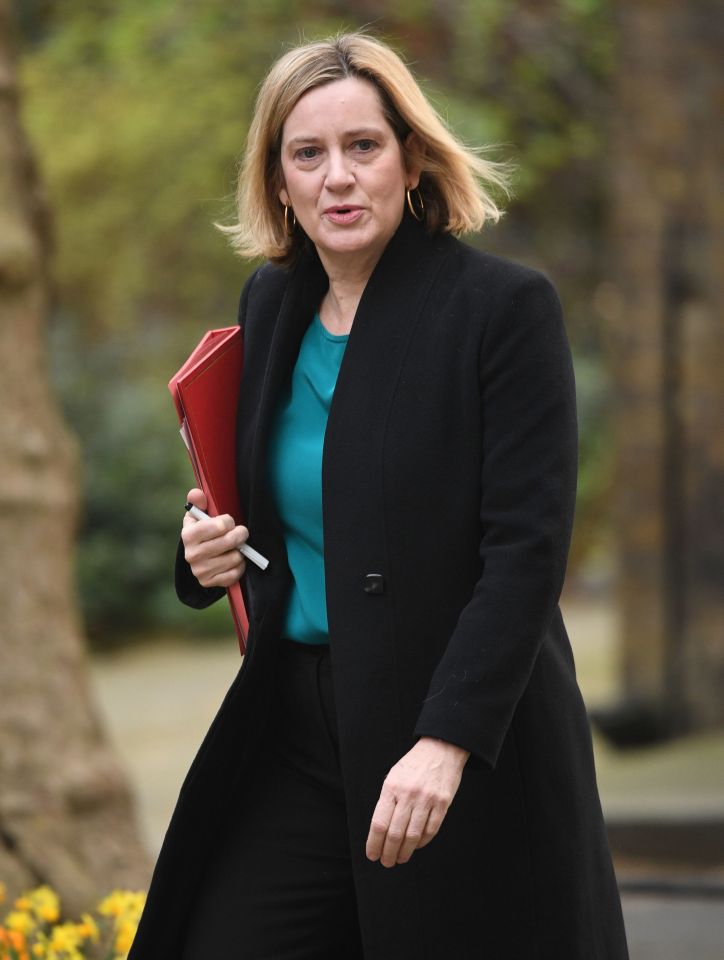  Amber Rudd could back the top Brexiteer's run for the leadership