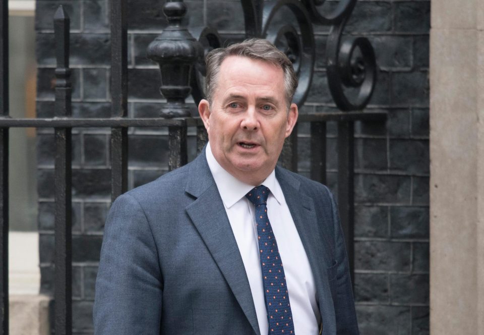  Trade Secretary Liam Fox says if Britain remains in an EU custom union 'we would ourselves be traded'