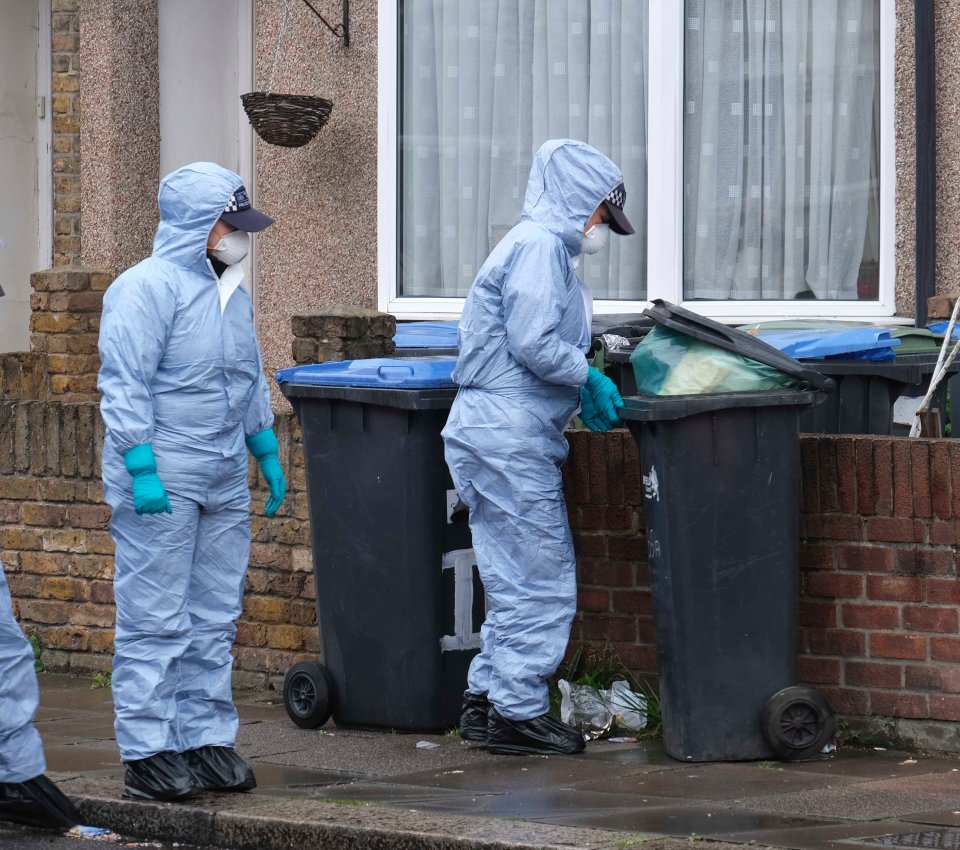  They were seen looking through bins as they investigated