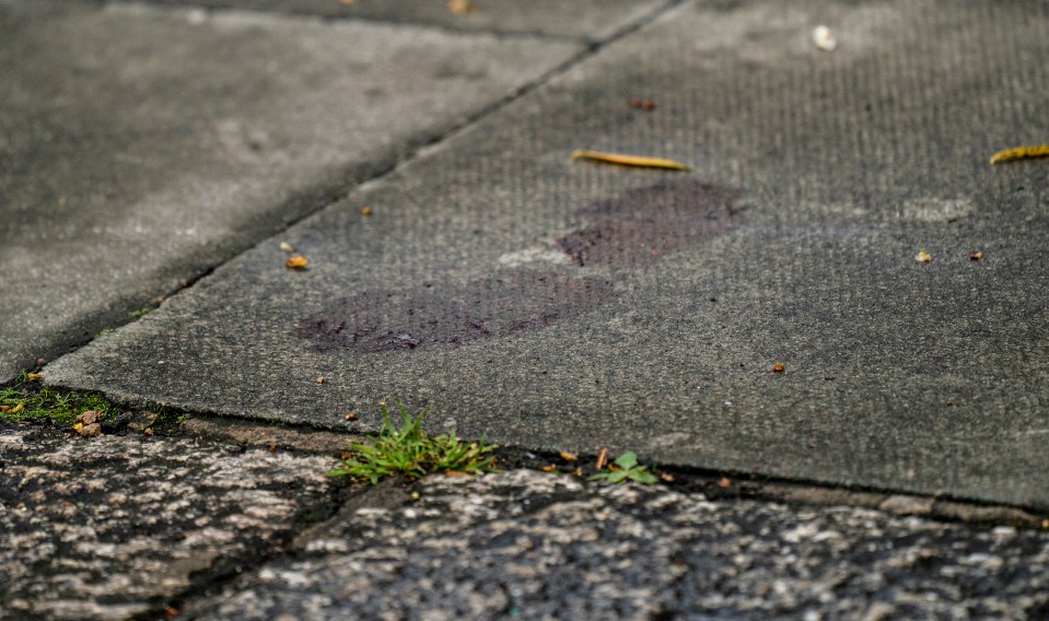  A footprint in blood could be seen in the street where the attack happened