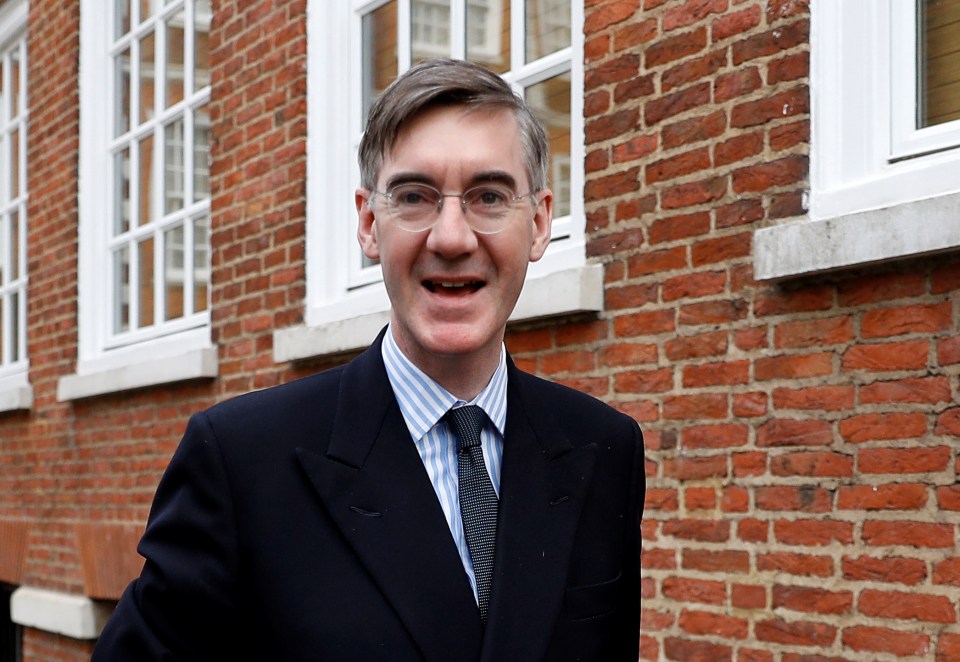  Jacob Rees-Mogg suggested the pair could unite the Tory party