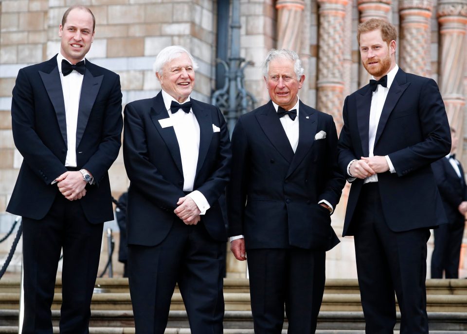  The Prince of Wales mingled with TV royalty along with sons Prince William and Harry at Netflix’s premiere of Sir David Attenborough’s new show