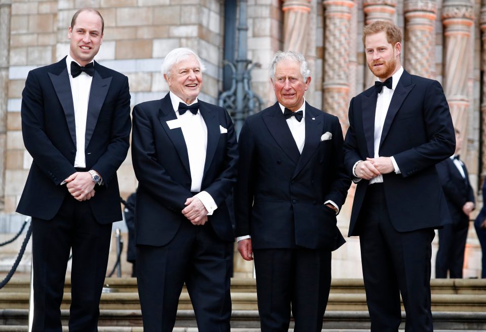  The premiere was attended by Our Planet host Sir David Attenborough, Prince Charles, Prince William and Prince Harry