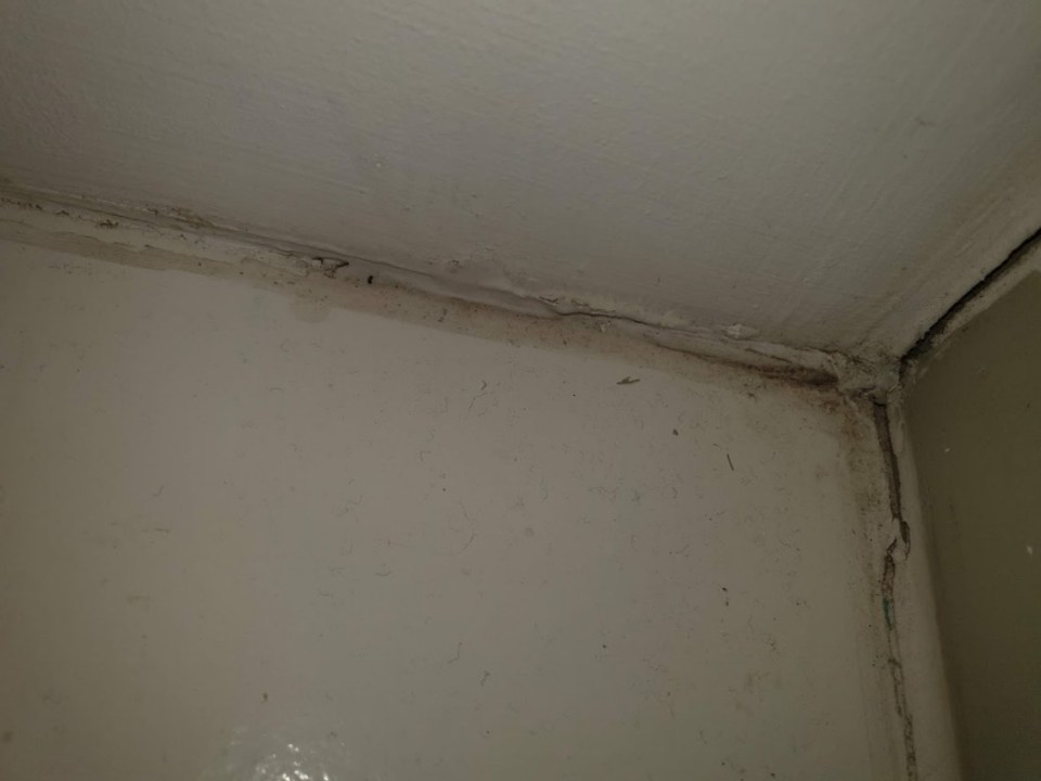  Cracks in the walls and damp have already appeared in the new home despite being a year old