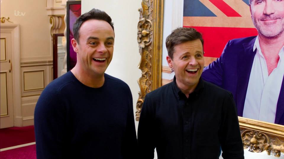  Ant McPartlin and Declan Donnelly have finally reunited on-screen