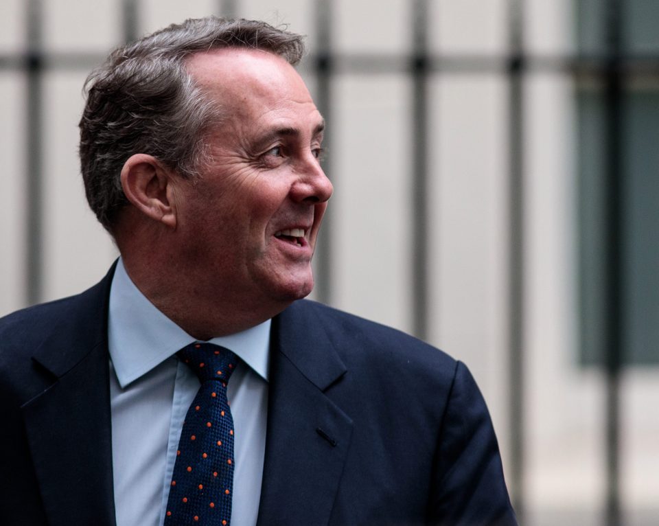  Trade Secretary Liam Fox abstained too