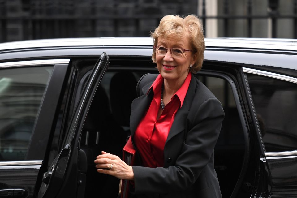  Andrea Leadsom didn't vote for another delay to Brexit last night