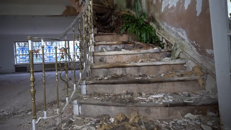  Wild plant life has reclaimed this collapsing staircase in one of the monster homes - a row of ten mansions on The Bishops Avenue have been completely empty since they were bought in the late 1980s and early 90s