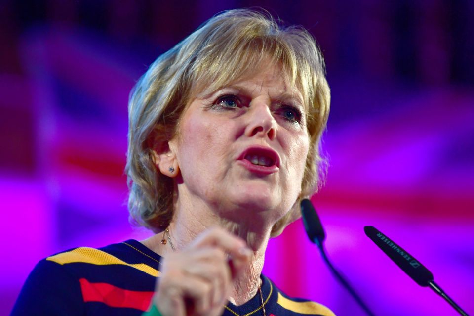  Ex-Tory Anna Soubry left her party after backing a People's Vote on Brexit