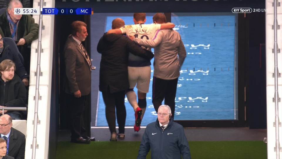 Harry Kane was helped off down the tunnel after the nasty injury