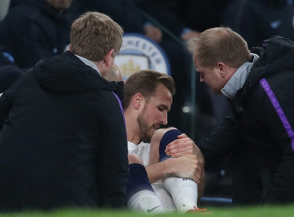 Harry Kane looked in pain after his coming together with Fabian Delph