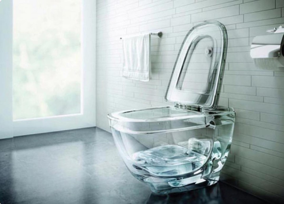  Guests can now enjoy seeing their bowel movements with this glass toilet