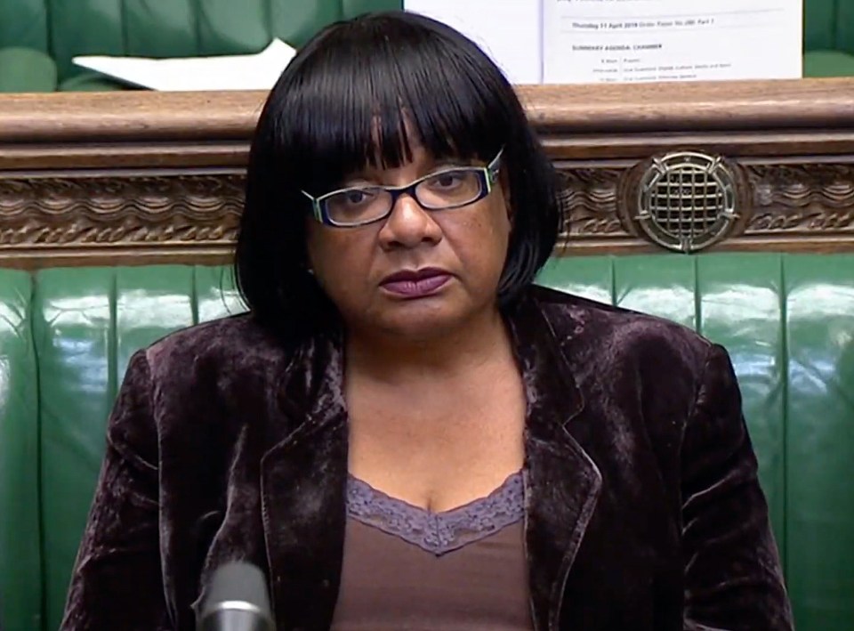  Shadow Home Secretary Diane Abbott also questioned the US government's motives