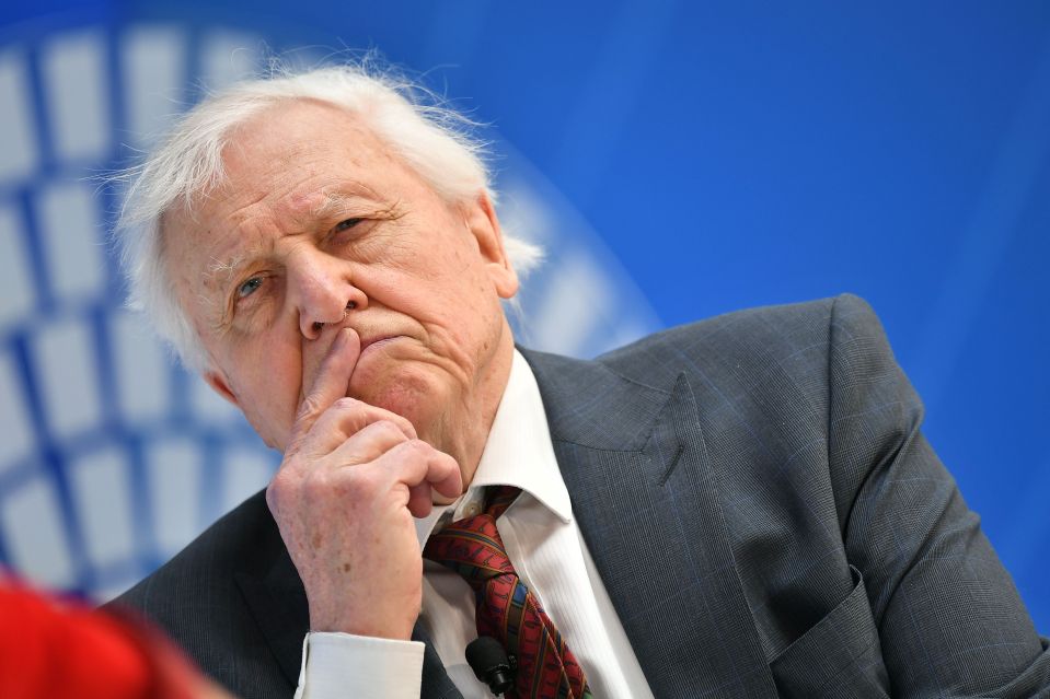  Last year, Sir David Attenborough warned that climate change will destroy civilisation unless it is tackled quickly