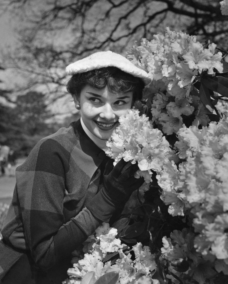 Hepburn, having been educated in England, spoke English and so was a help to the Dutch Resistance