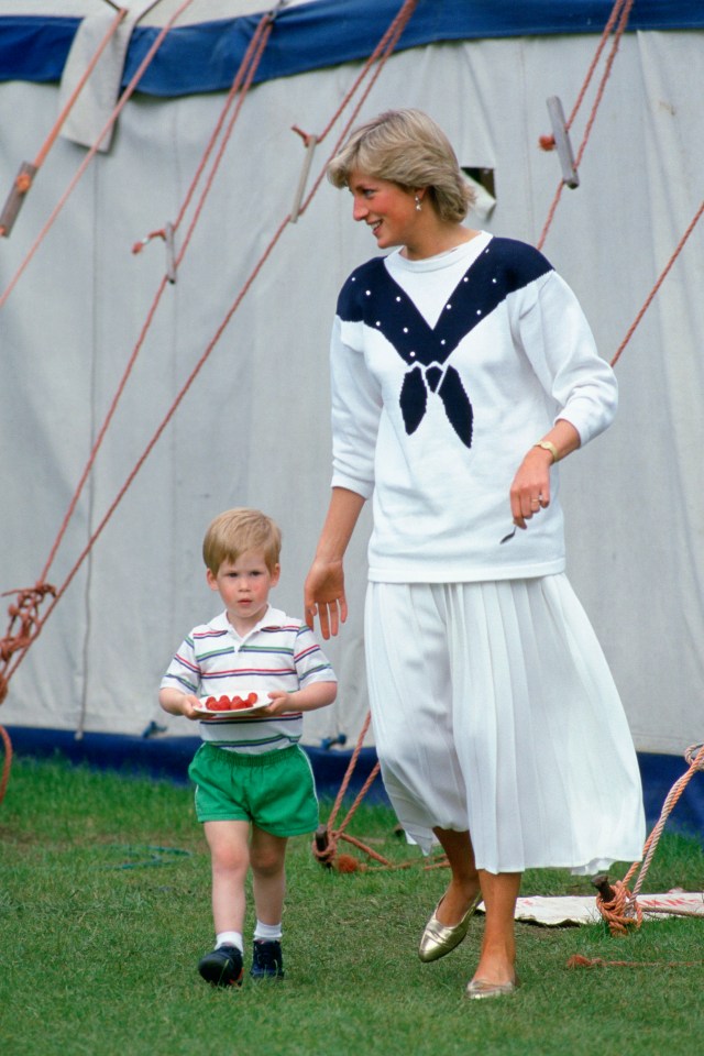  Carolyn Robb says she would even keep Harry's favourite tarts in the freezer so they could be given to him at a moment's notice