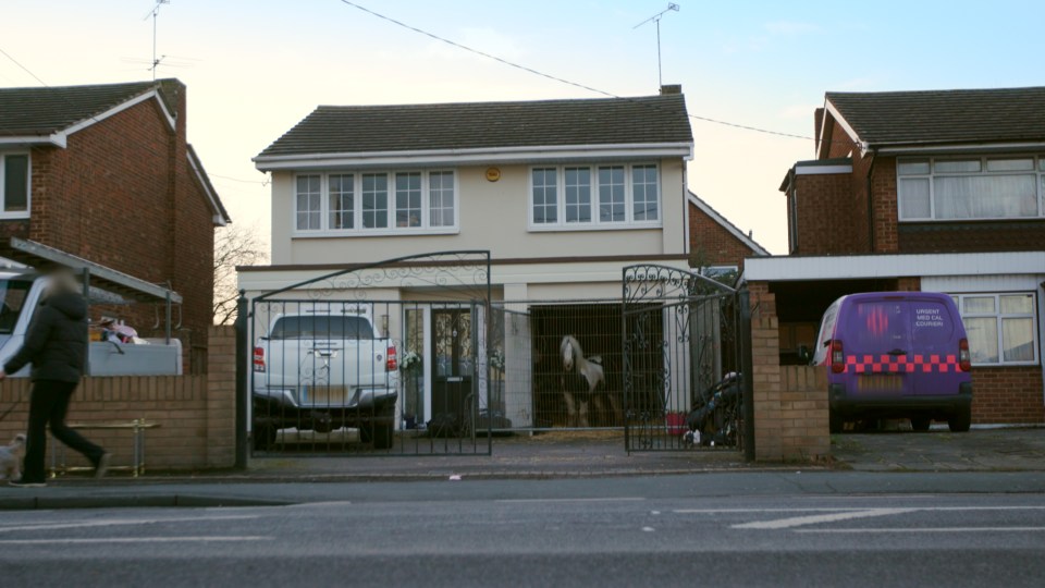  Johnny's horse stands in its new home - his garage in Essex