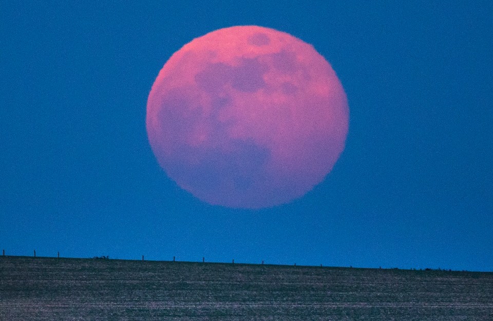 The spectacular sight over fields near Chichester, West Sussex