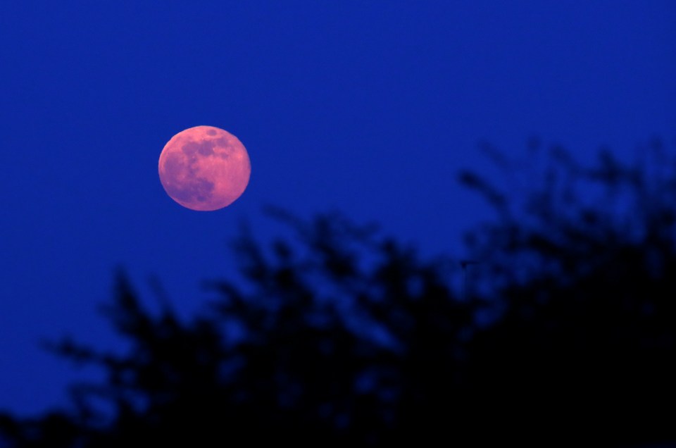  A full moon, like the one that appeared last night, has been linked to busier maternity wards