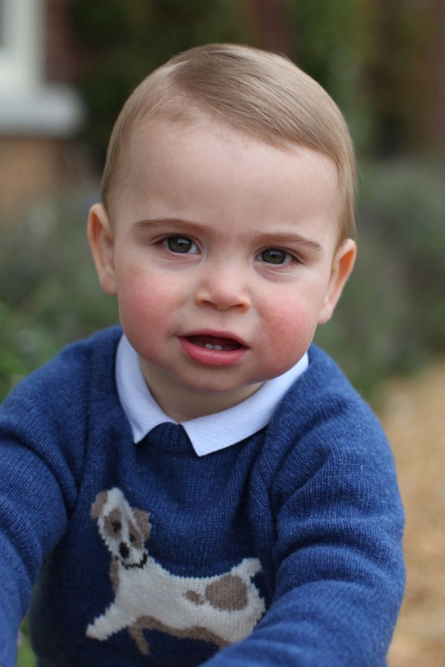  Prince Louis wearing a jumper with a cute dog motif in his special birthday photos