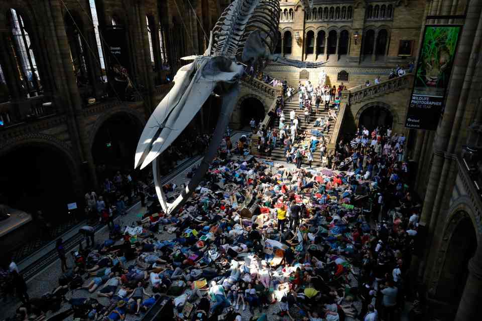  Extinction Rebellion climate change activists perform a mass 'die in' under the blue whale in the foyer of the Natural History Museum