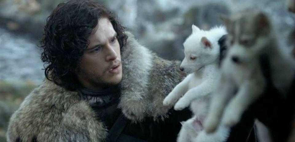  The pup has been in the show since Jon adopted him in series 1