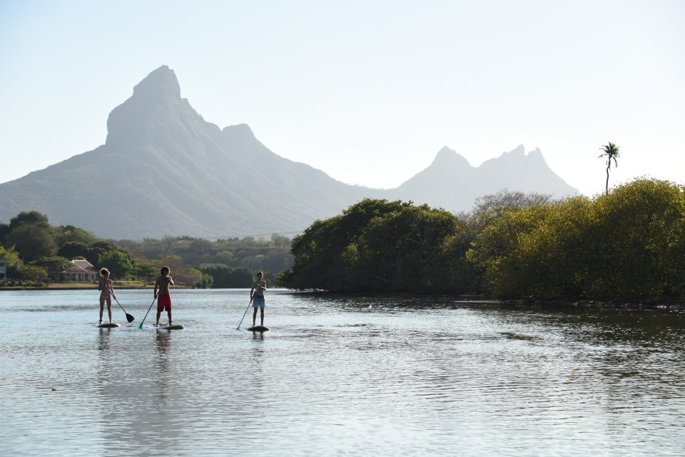  There is a mountain pool where you can cool off while you watch the wildlife