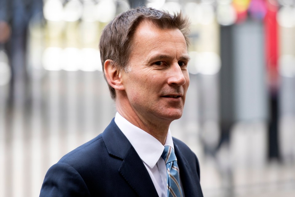 Jeremy Hunt said the next PM must 'believe in Brexit'