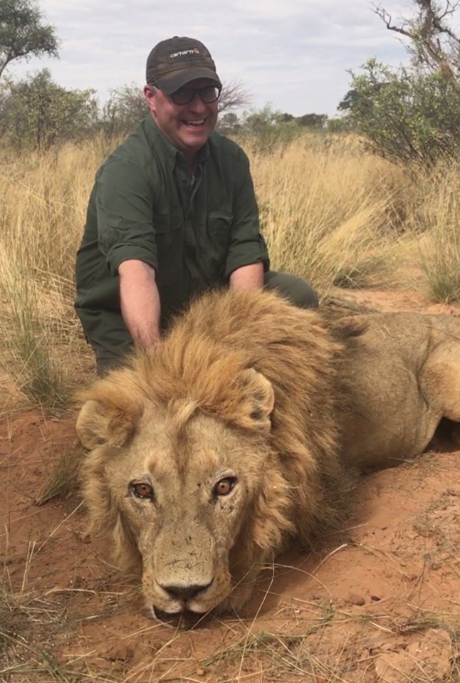  The hunters continued to follow Simba until he could not stand up