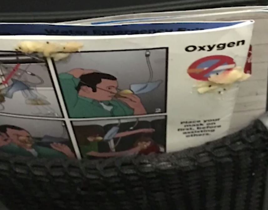 The plane seat still had vomit on it