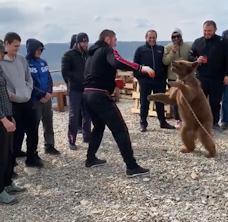  The Russian used to wrestle the bear as a child to build his character