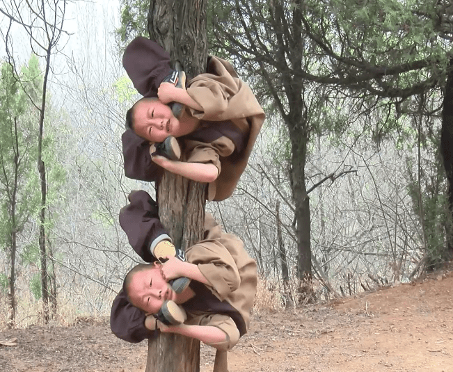  Kids can be seen grimacing as they grip trees with their backs and legs