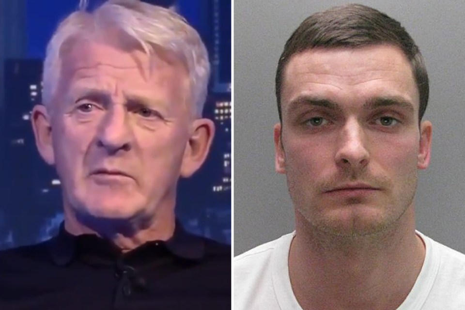  Gordon Strachan was axed by Sky Sports after comparing Adam Johnson to racist abuse suffered by footballers